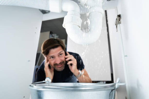 Best Plumbing Repair Near Me  in Laredo, TX