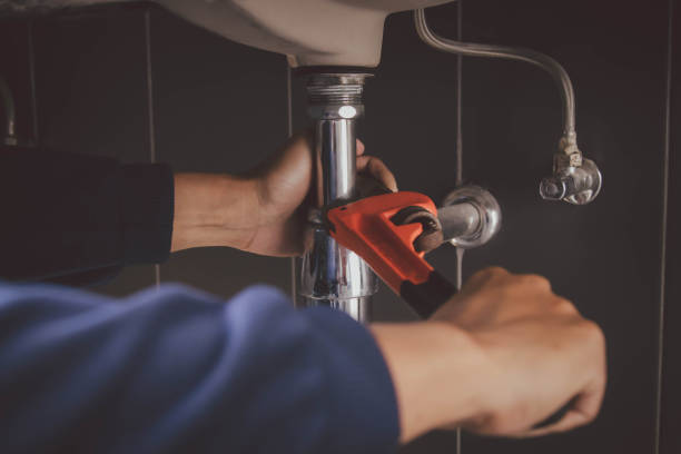Best Plumbing Inspection Services  in Laredo, TX